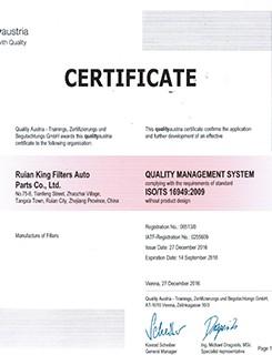 Φίλτρο αέρα εισαγωγής αυτοκινήτων ινών πολυεστέρα 1132401320 φορτηγών φίλτρων καυσίμων AF25372 3